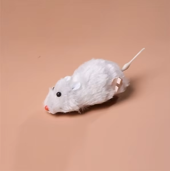 cat toy – 5
