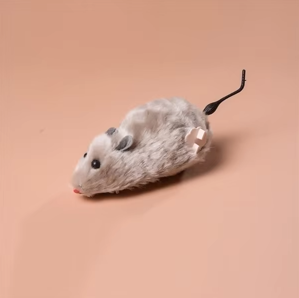 cat toy – 7