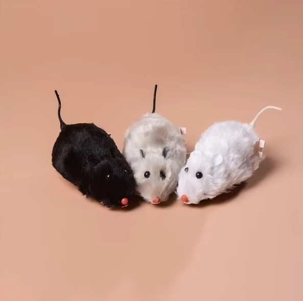 cat toy – 8