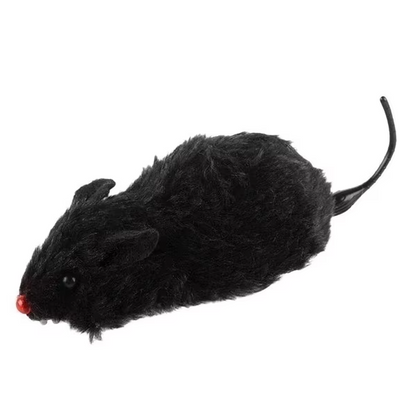 cat toy – 9