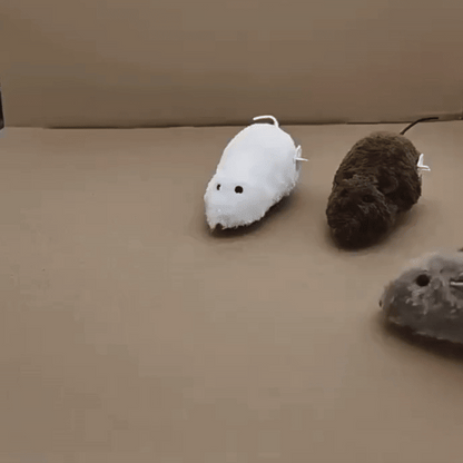 cat toy
