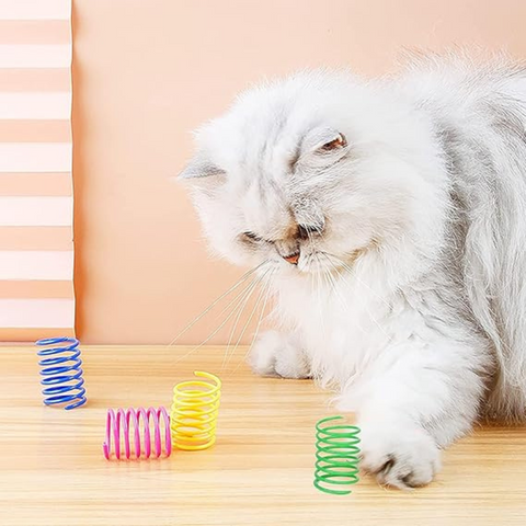 cat toy