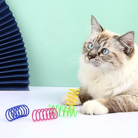 cat toy
