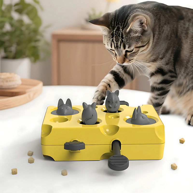 cat toy