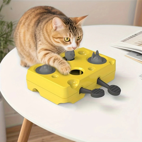 cat toy