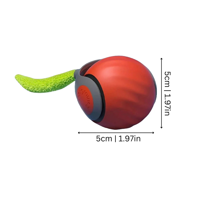 cat toy – 2