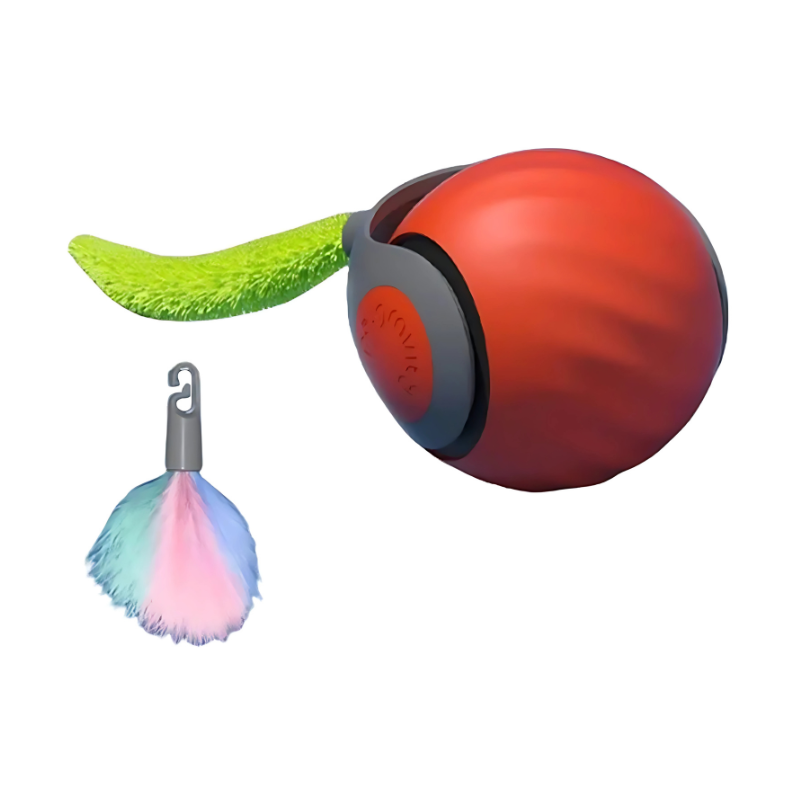 cat toy – 3