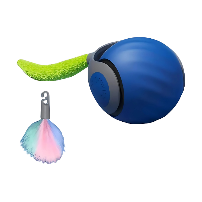 cat toy – 4