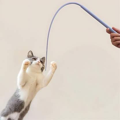 cat toy