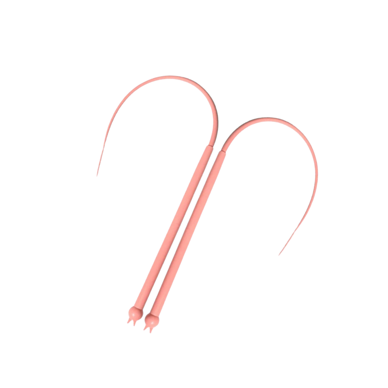 cat toy – 4