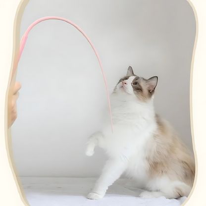 cat toy