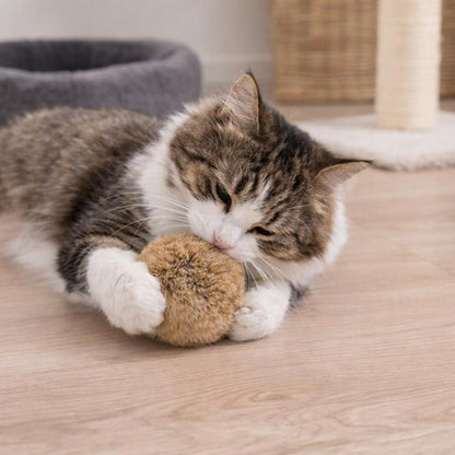 cat toy