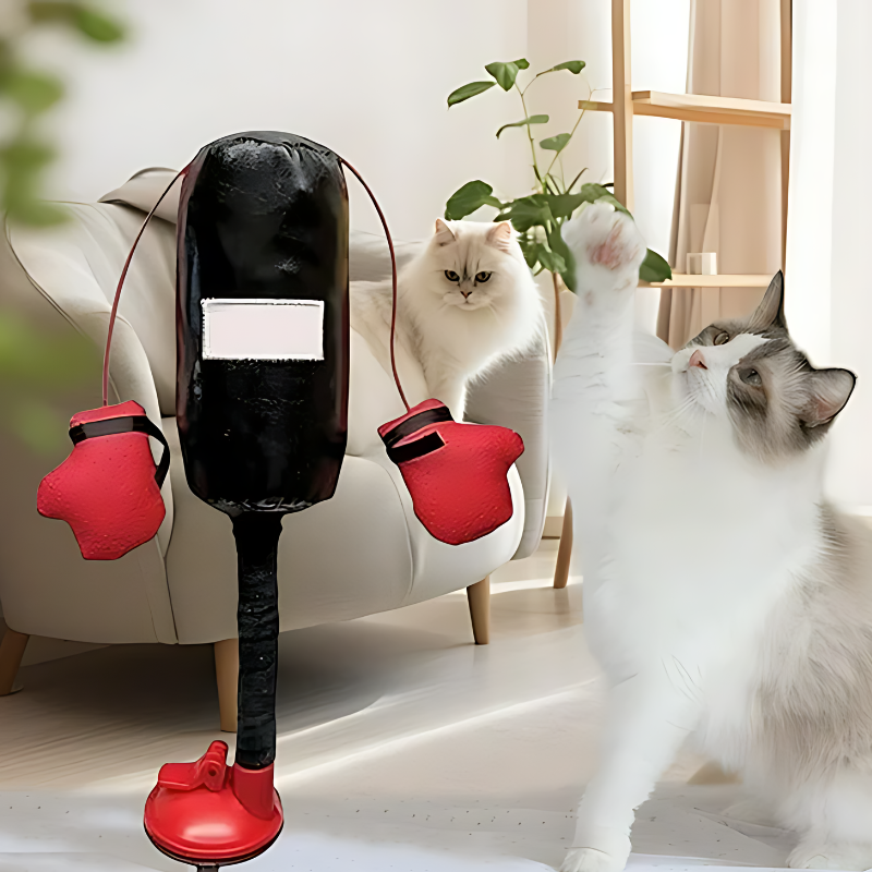 cat toy