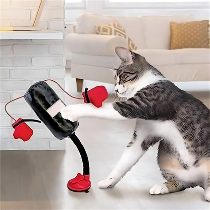 cat toy