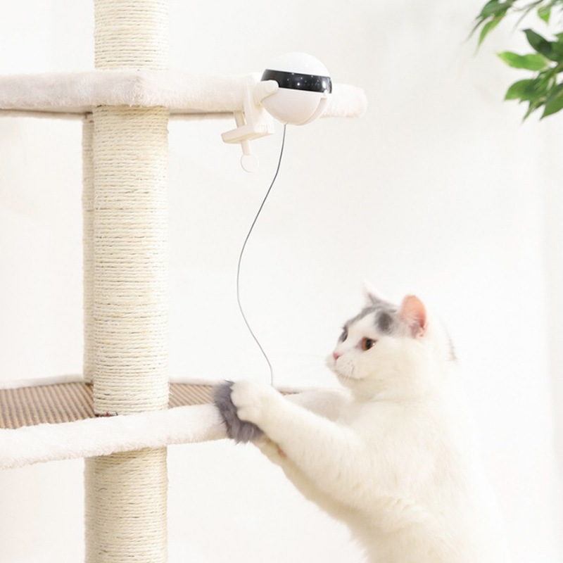 cat toy