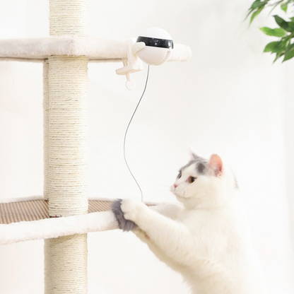 cat toy