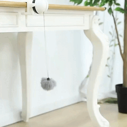 cat toy