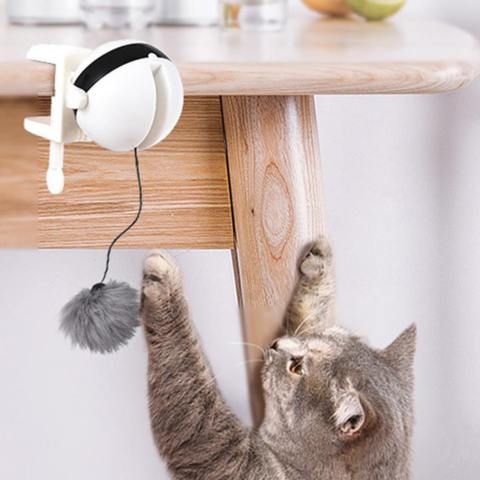 cat toy