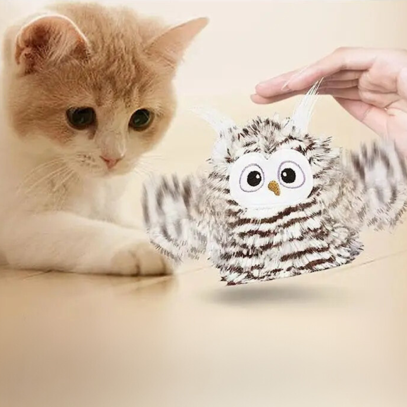 cat toy