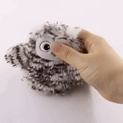 cat toy