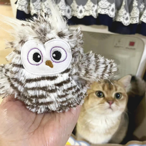 cat toy