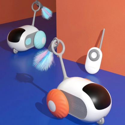 cat toy