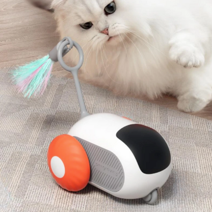 cat toy
