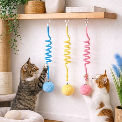 cat toy