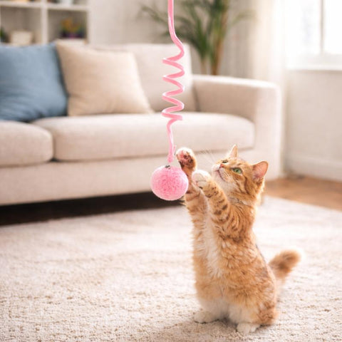 cat toy
