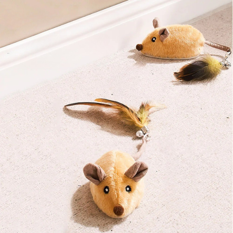 cat toy