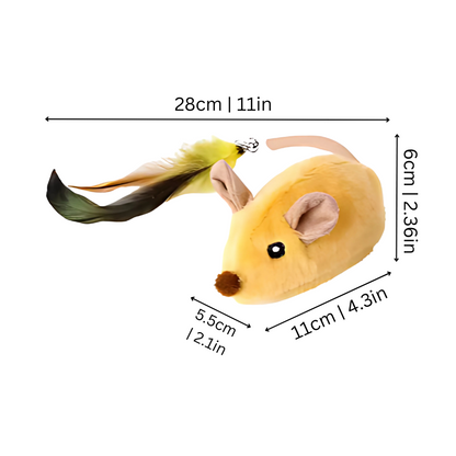 cat toy – 2