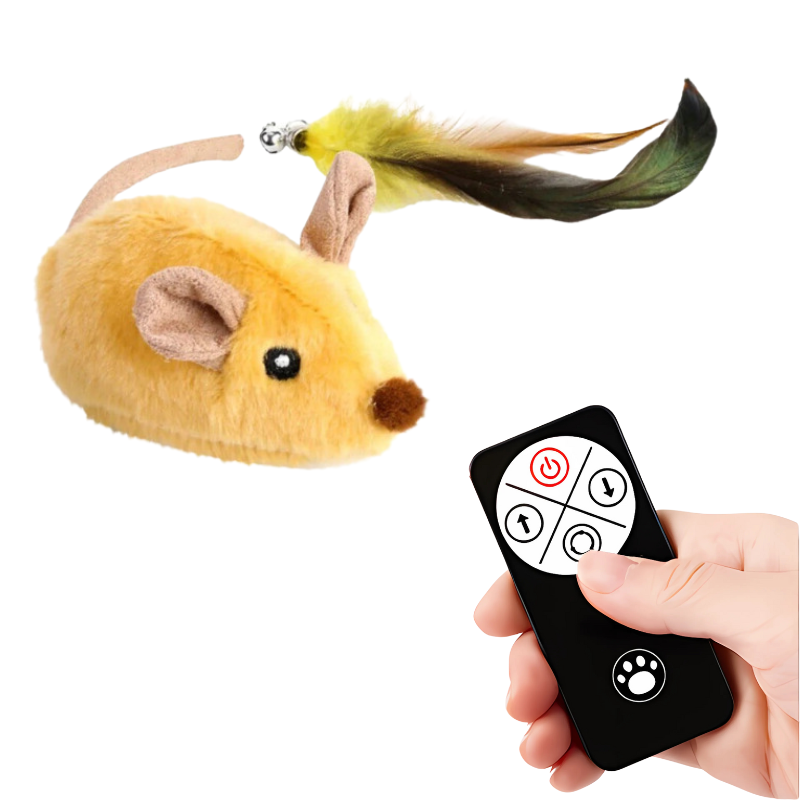 cat toy – 3