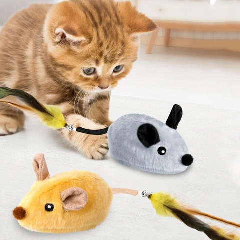 cat toy