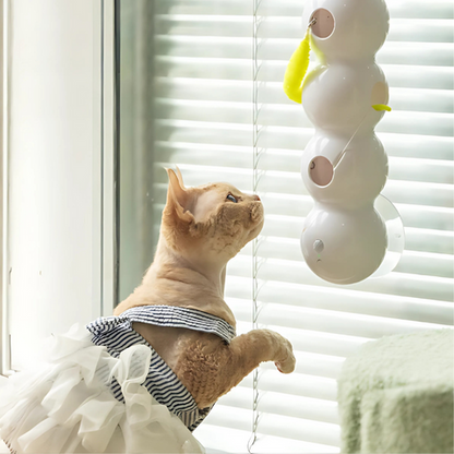 cat toy