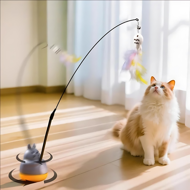 cat toy