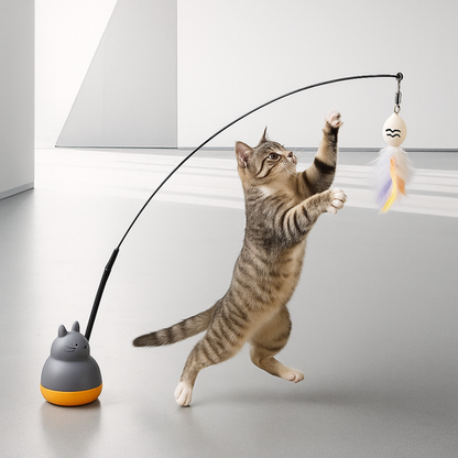 cat toy