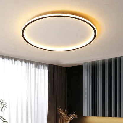 ceiling light