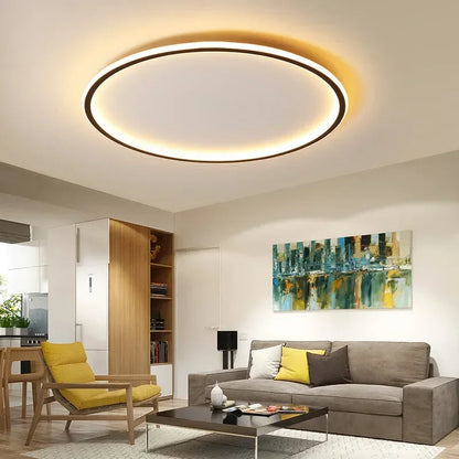 ceiling light – 4