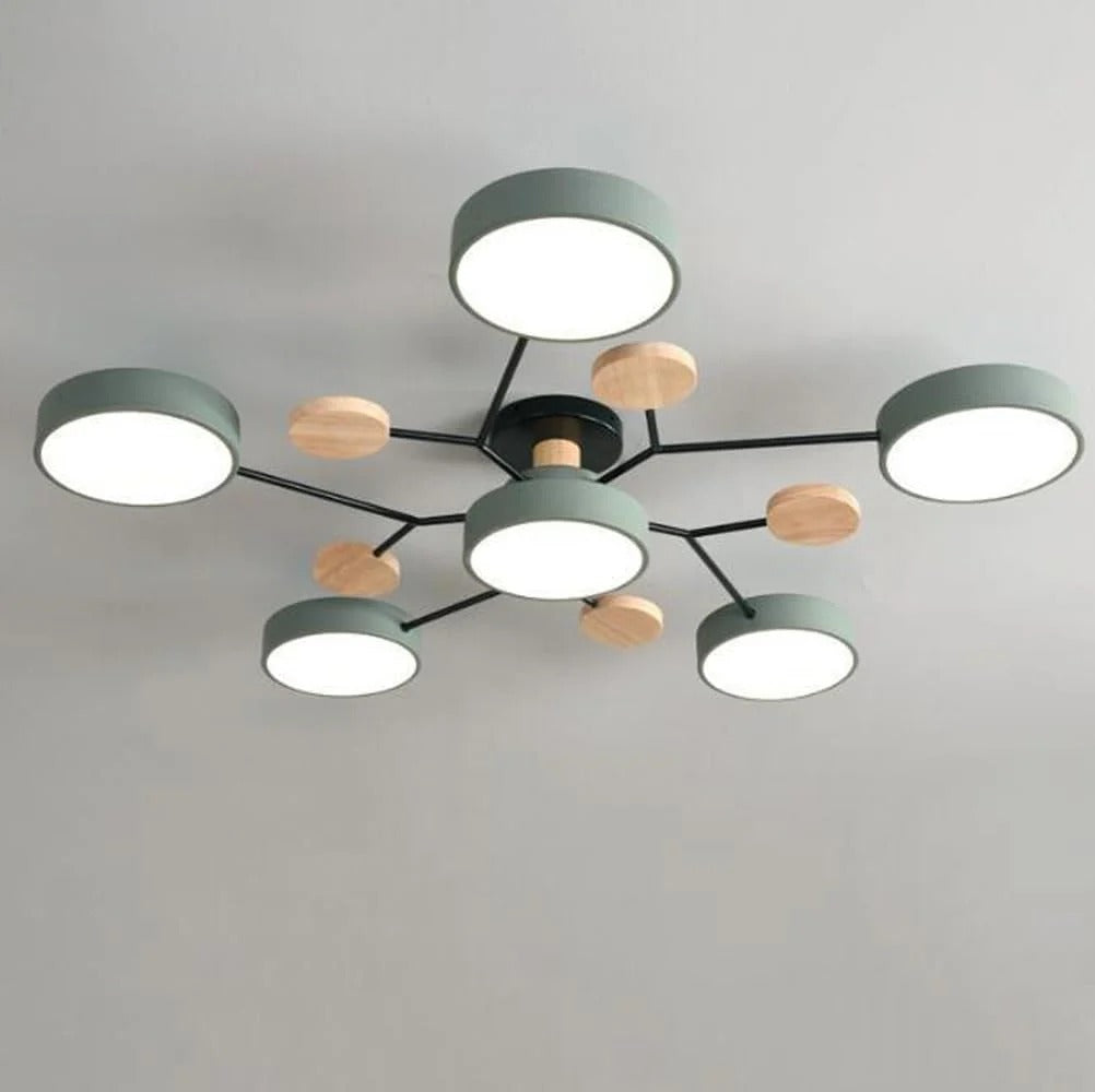 ceiling light