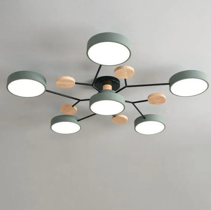 ceiling light