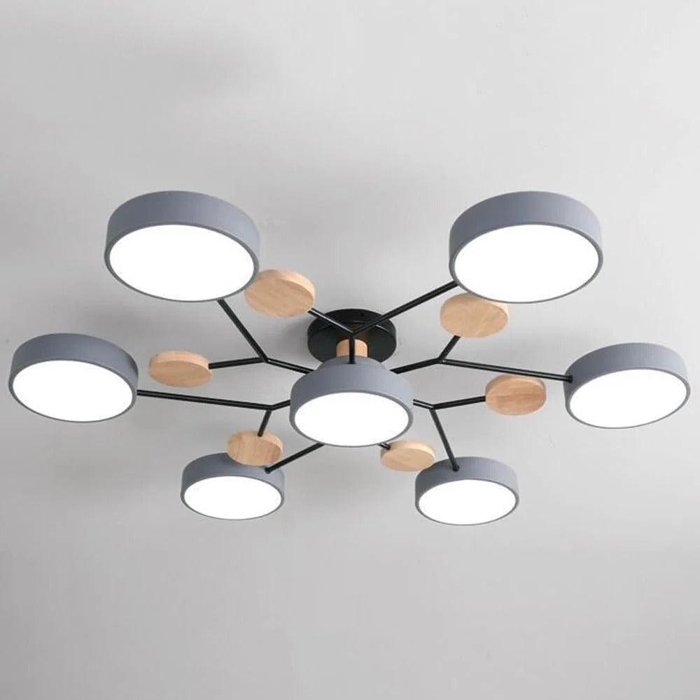 ceiling light – 12