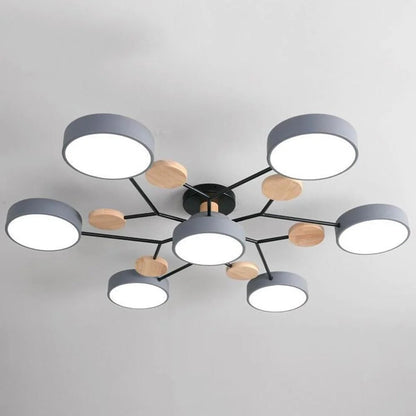 ceiling light – 12