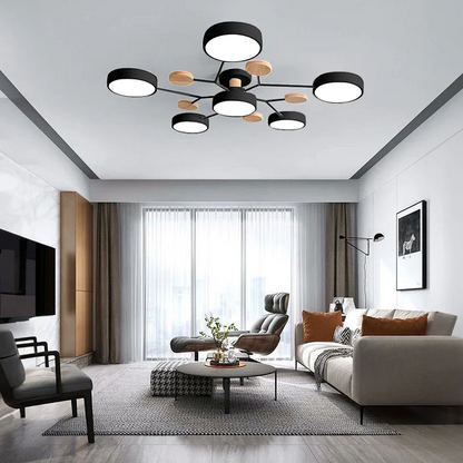 ceiling light – 30