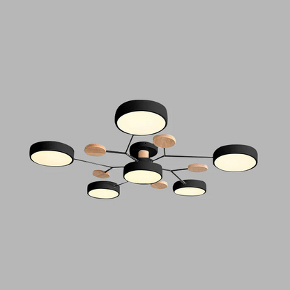 ceiling light – 31