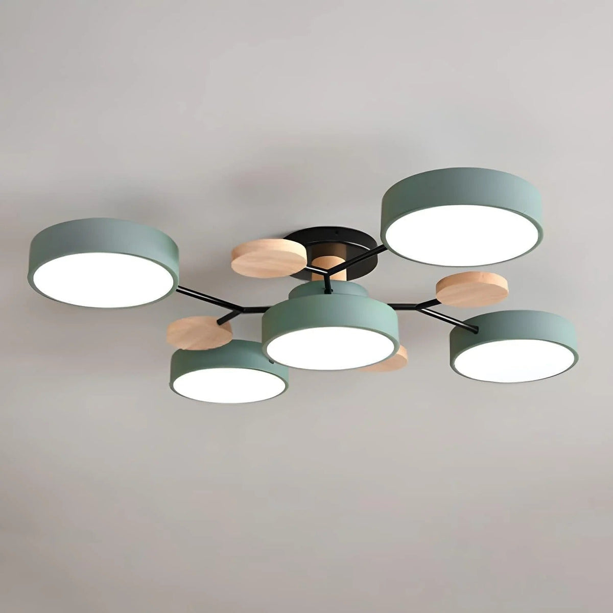 ceiling light – 41