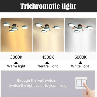 ceiling light – 5