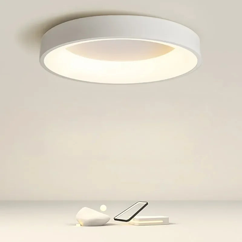 ceiling light – 2
