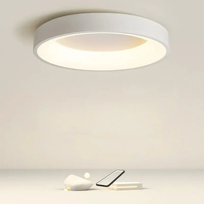 ceiling light – 2