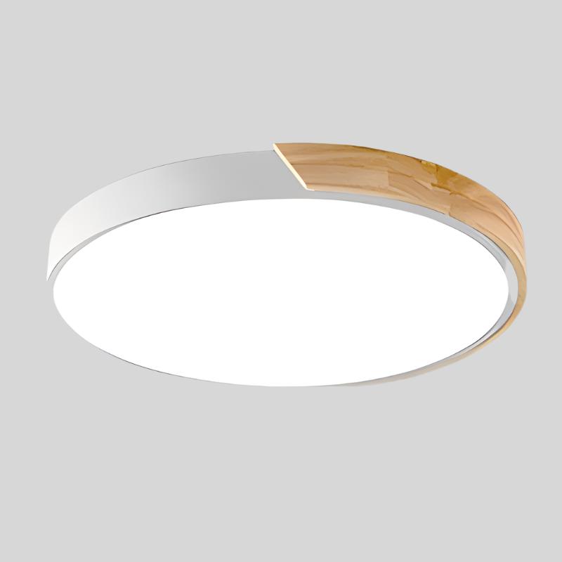 ceiling light – 16