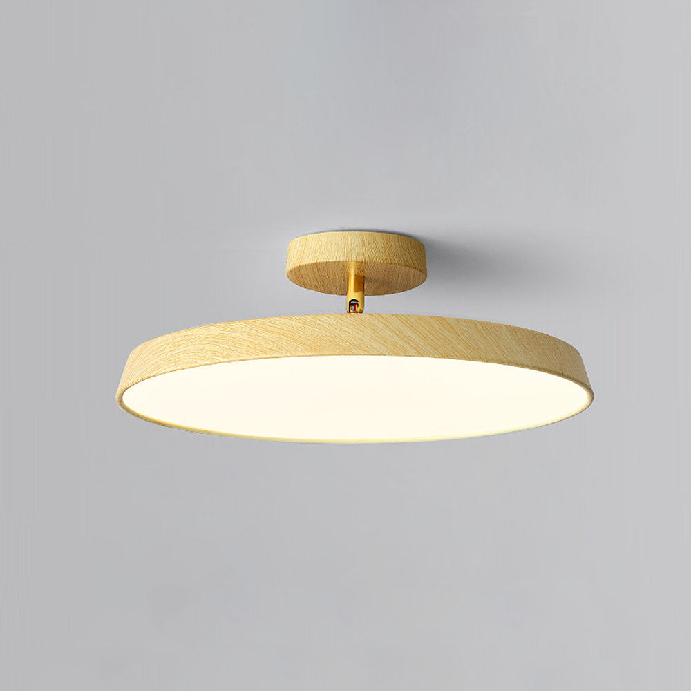 ceiling light – 18
